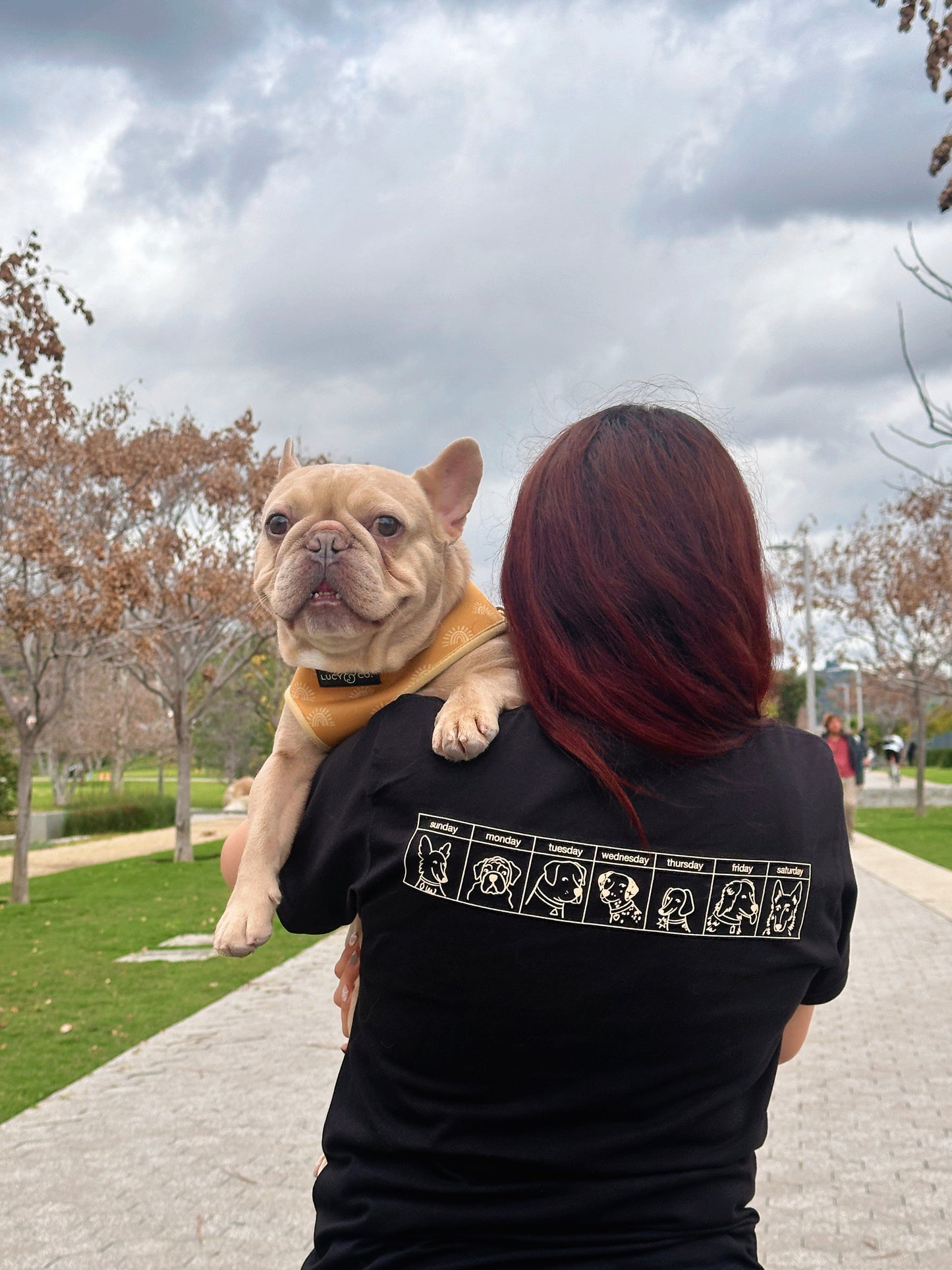 The Dogs Were Good Again Tee - Black