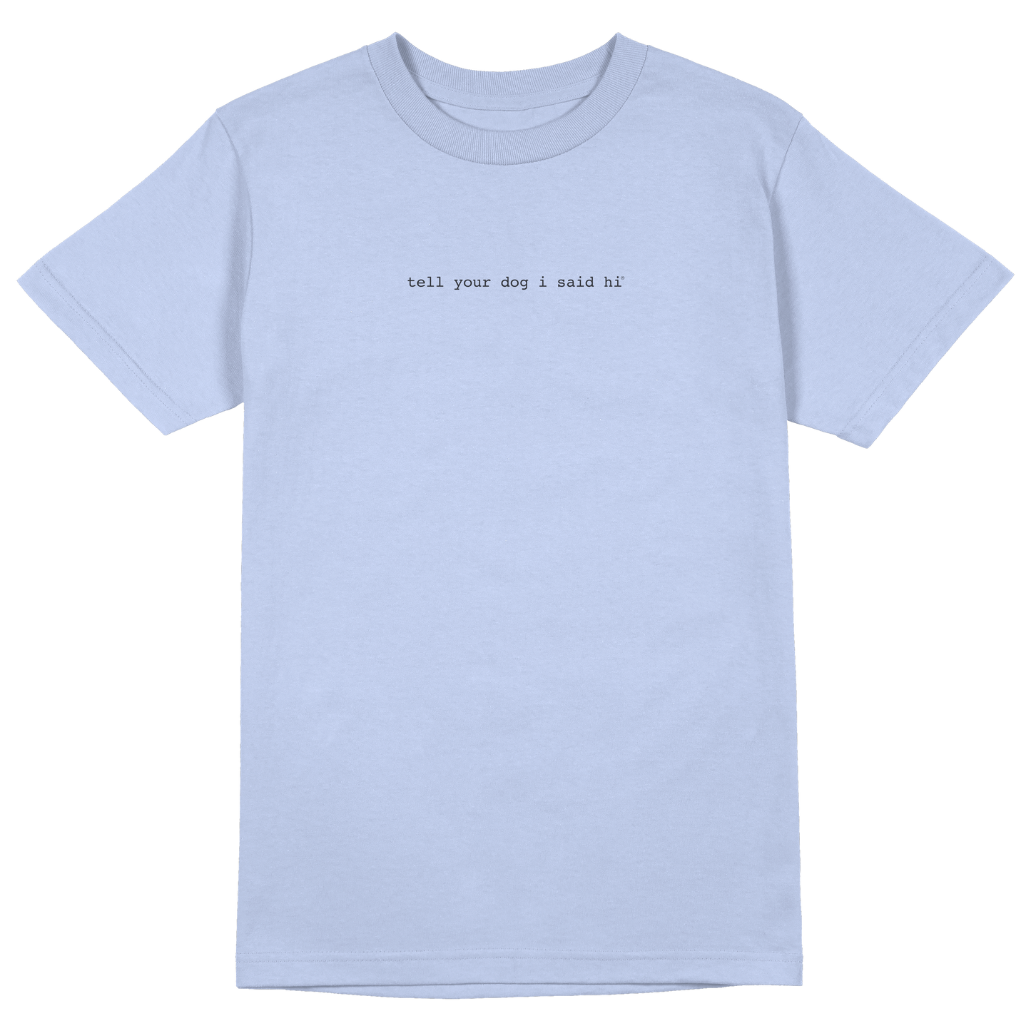 Classic Tee - Snowy Blue