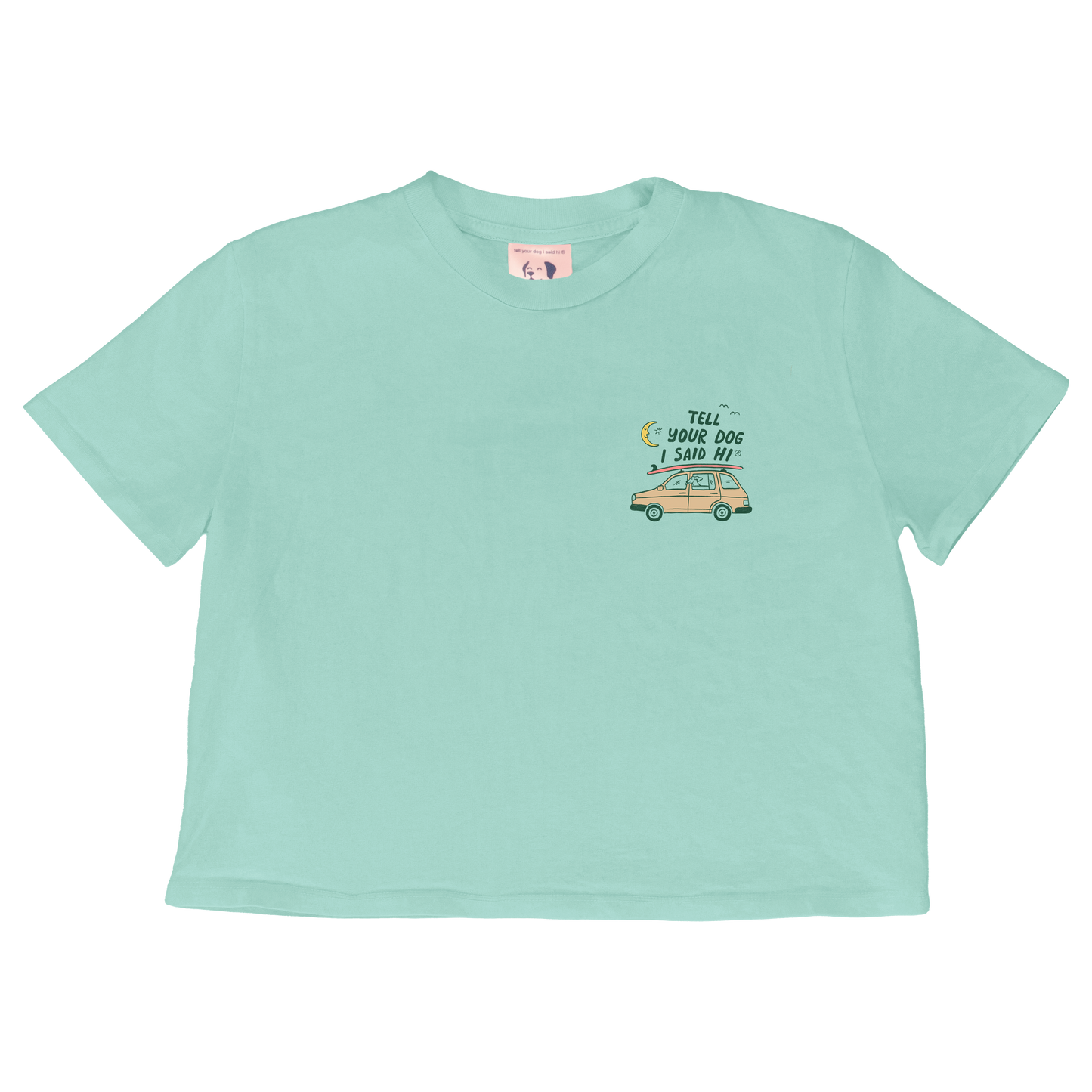 Roadtrip Doodles Crop Top - Mint