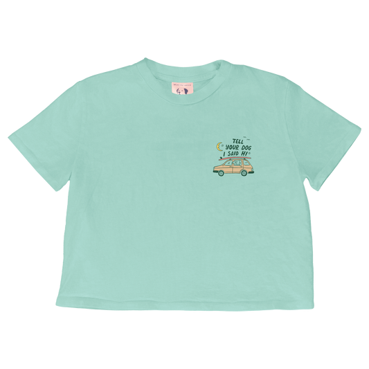 Roadtrip Doodles Crop Top - Mint